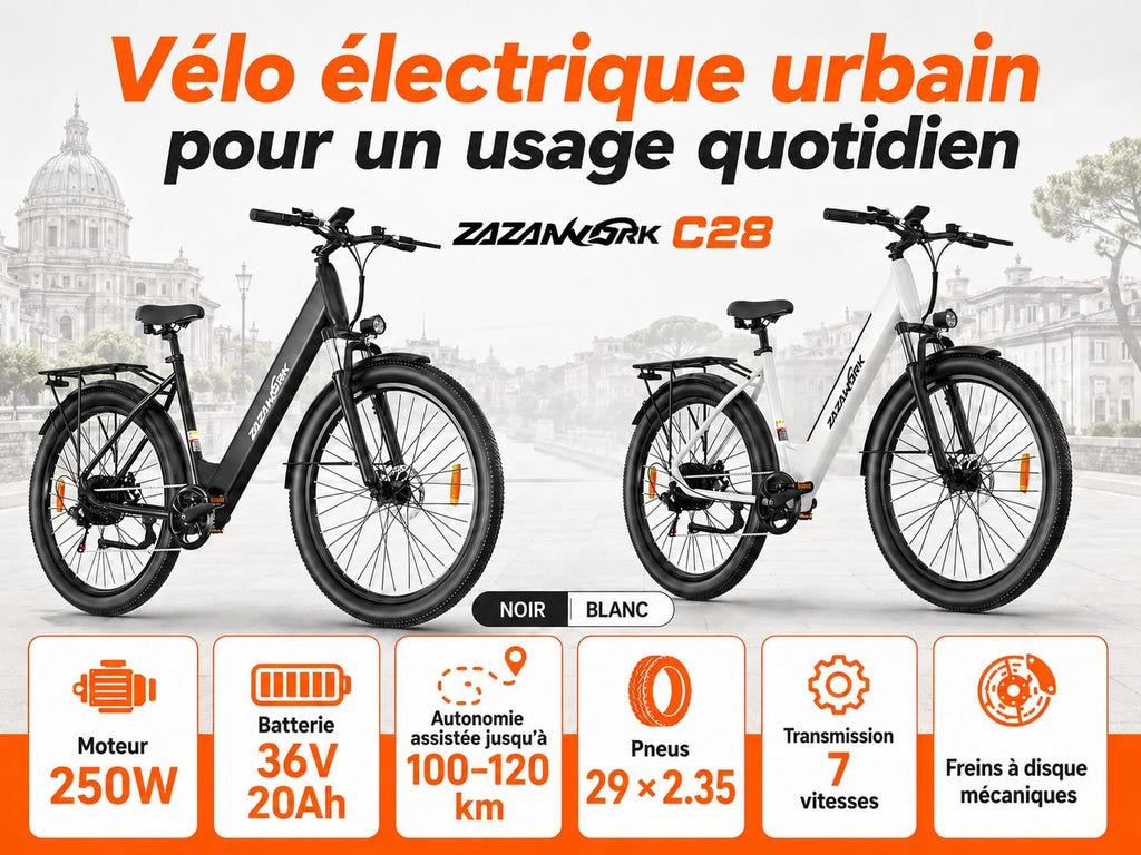 Electric Bike 36V20AH Battery Range 100km The Ideal Choice Urban 29 Inch Electric Bike Adult Motor 250W 7 Speed E-Bike, Electric Bike Woman Man