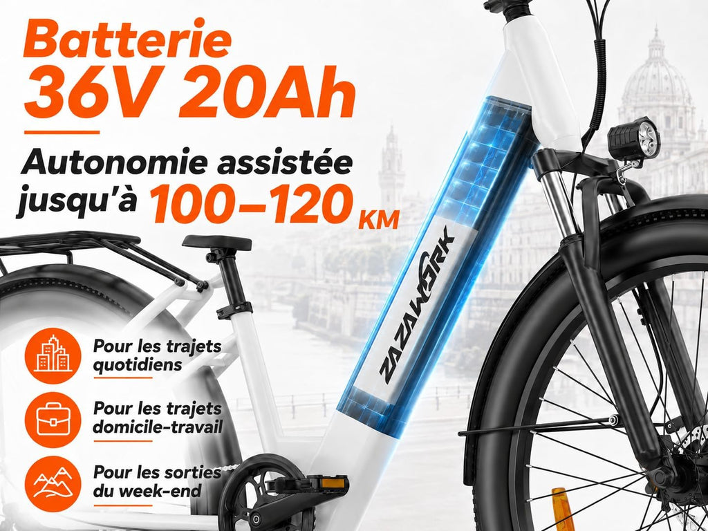 Electric Bike 36V20AH Battery Range 100km The Ideal Choice Urban 29 Inch Electric Bike Adult Motor 250W 7 Speed E-Bike, Electric Bike Woman Man