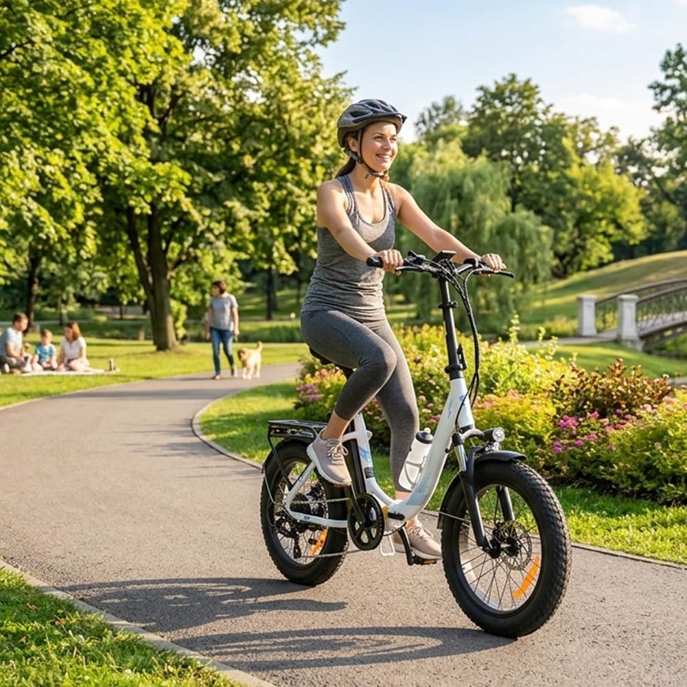Générique Velo Electrique Pliable 20" Fat Bike 48V 250W avecBatterie 15Ah, Autonomie 40-60 km, Suspension Avant, Freins aDisque, Ecran LCD, Panier & Porte-Bagages - Velo Urbain