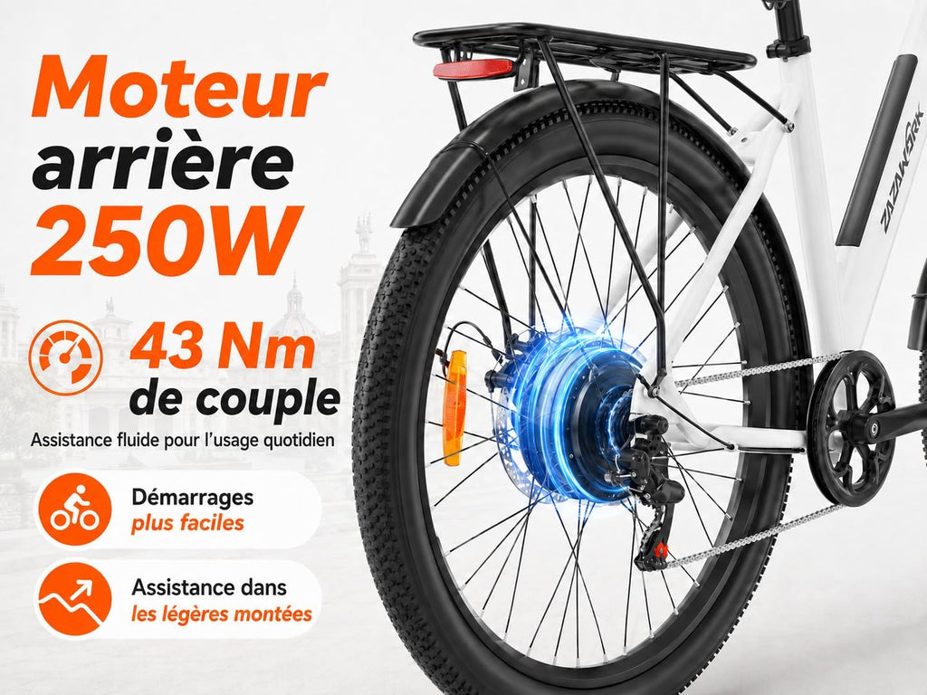 Electric Bike 36V20AH Battery Range 100km The Ideal Choice Urban 29 Inch Electric Bike Adult Motor 250W 7 Speed E-Bike, Electric Bike Woman Man