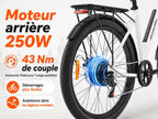 Electric Bike 36V20AH Battery Range 100km The Ideal Choice Urban 29 Inch Electric Bike Adult Motor 250W 7 Speed E-Bike, Electric Bike Woman Man