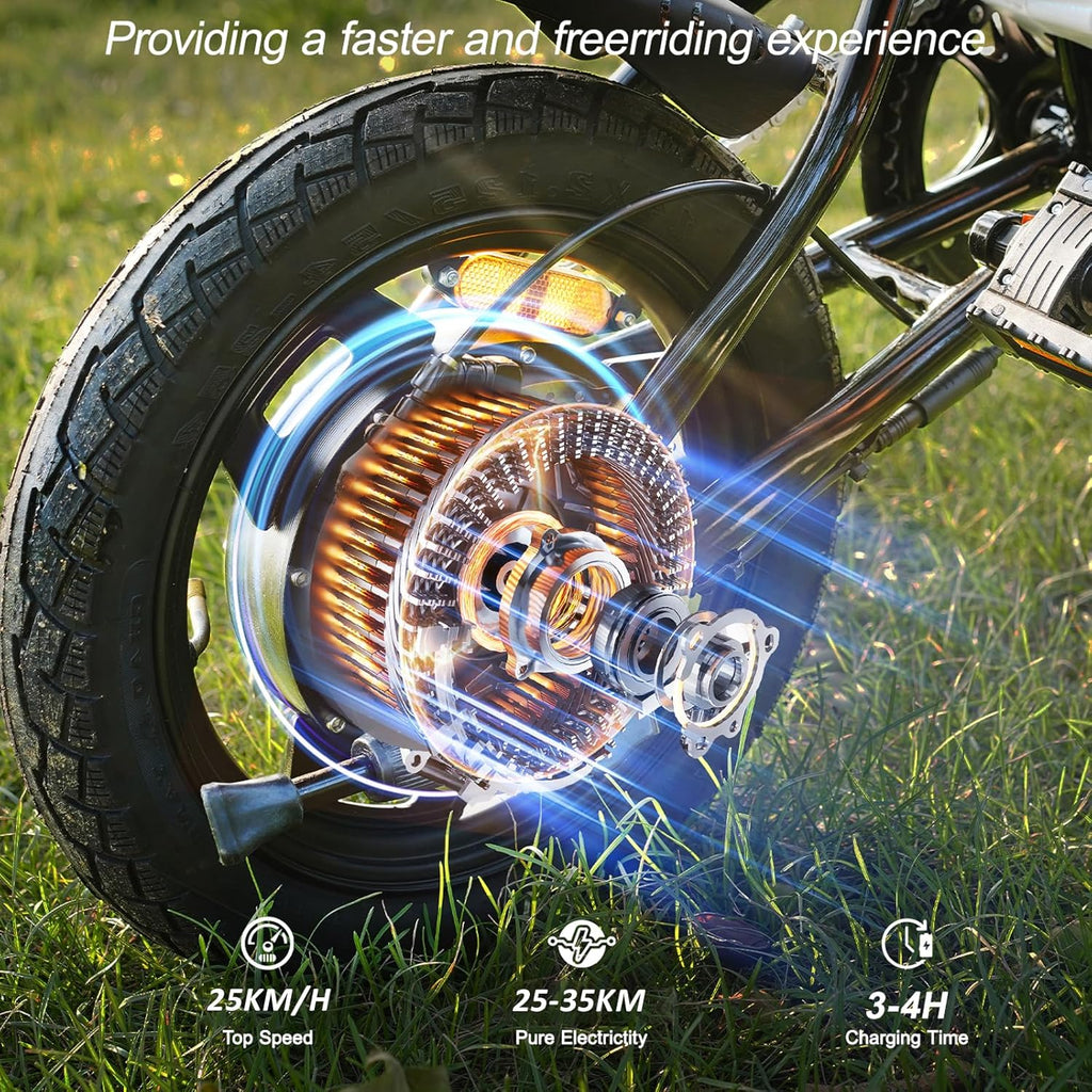 E Bike 14 Inch Folding Electric Bike with Removable Battery 36V 6.4Ah LCD Display 25km/h for Men and Women